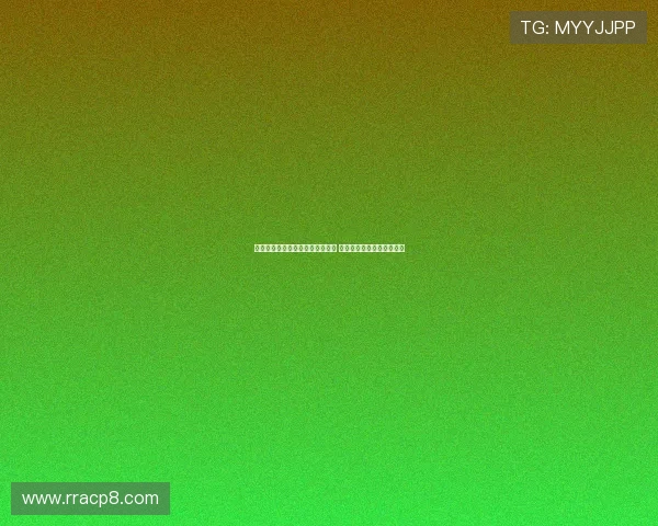 多特为法比奥席尔瓦提供五年合同 计划长期依赖这位年轻前锋